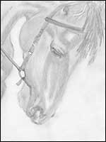 horse head